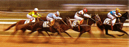 Seoul Racecourse